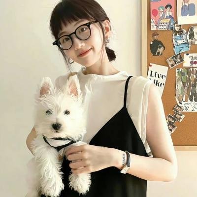 圣域第一季